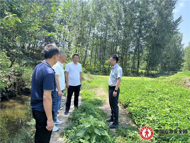 襄阳黄龙：政协委员为淳河幸福河