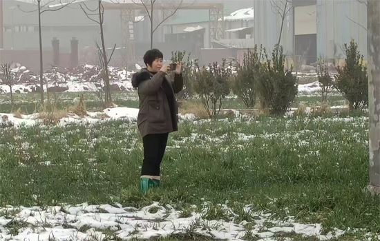 17530496687394667_28.jpg 17530496687394667_28.jpg