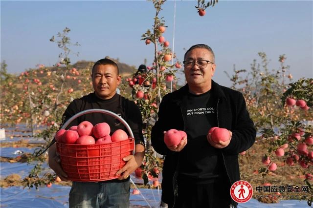 08573123248173027_13.jpeg 08573123248173027_13.jpeg