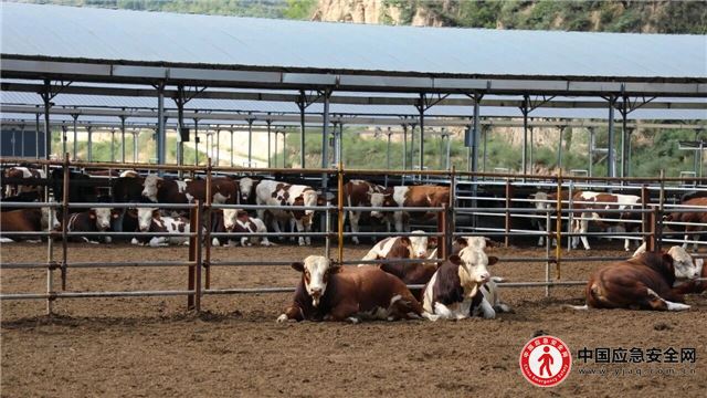 08575257611713968_13.jpeg 08575257611713968_13.jpeg