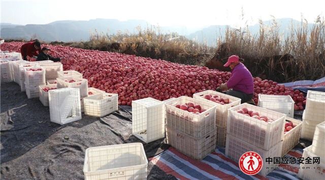 08581354499574087_13.jpeg 08581354499574087_13.jpeg