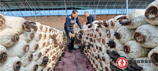 03074346684964436_13.jpeg 03074346684964436_13.jpeg