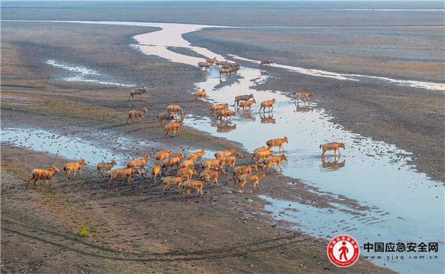 17555741932335482_13.jpeg 17555741932335482_13.jpeg