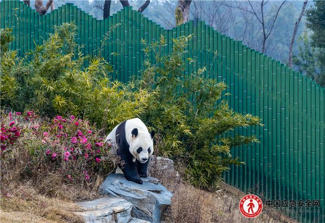 17575288813049440_13.jpeg 17575288813049440_13.jpeg