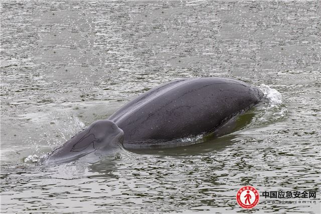 18152774752604438_13.jpeg 18152774752604438_13.jpeg